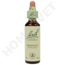 Bach Flower Remedies for Animals - Mimulus